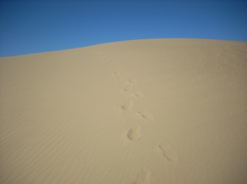 Footprints in Cabo Polonio, Uruguay
